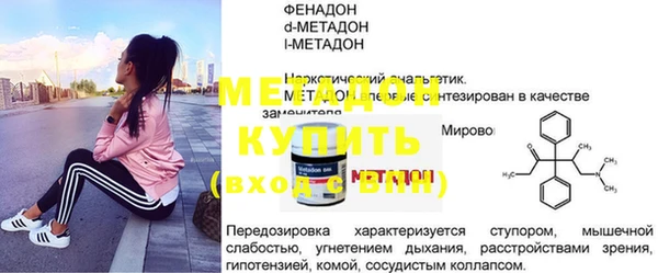 прущие грибы Тайга