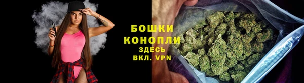 дживик Тавда