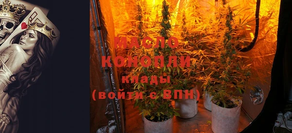 прущие грибы Тайга