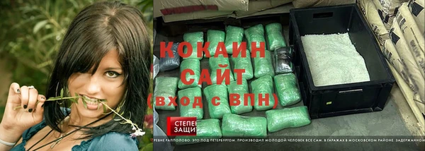 прущие грибы Тайга