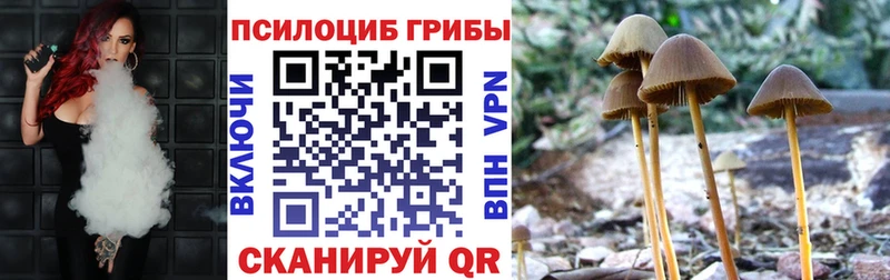 Галлюциногенные грибы MAGIC MUSHROOMS  Купить где  Спасск 